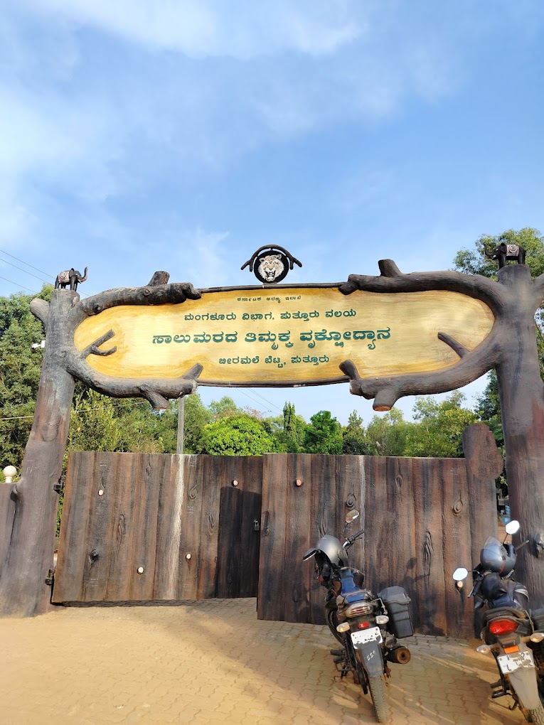 Salumarada Timmaka Park at Highest Peak of Puttur